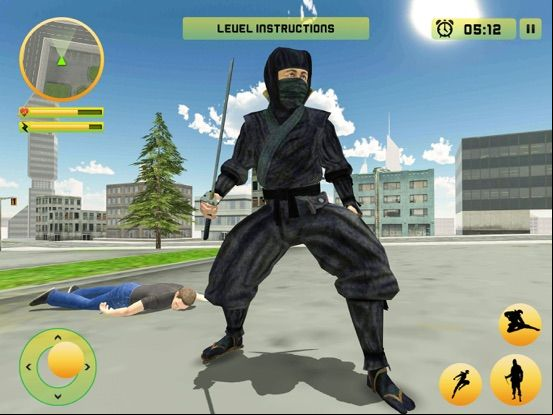 Ninja Warrior game screenshot